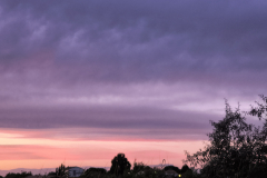 IMG_20260602_213322375_HDR