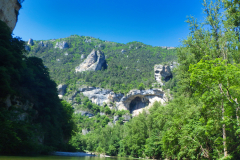 RIMG0765
