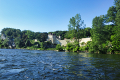RIMG0788
